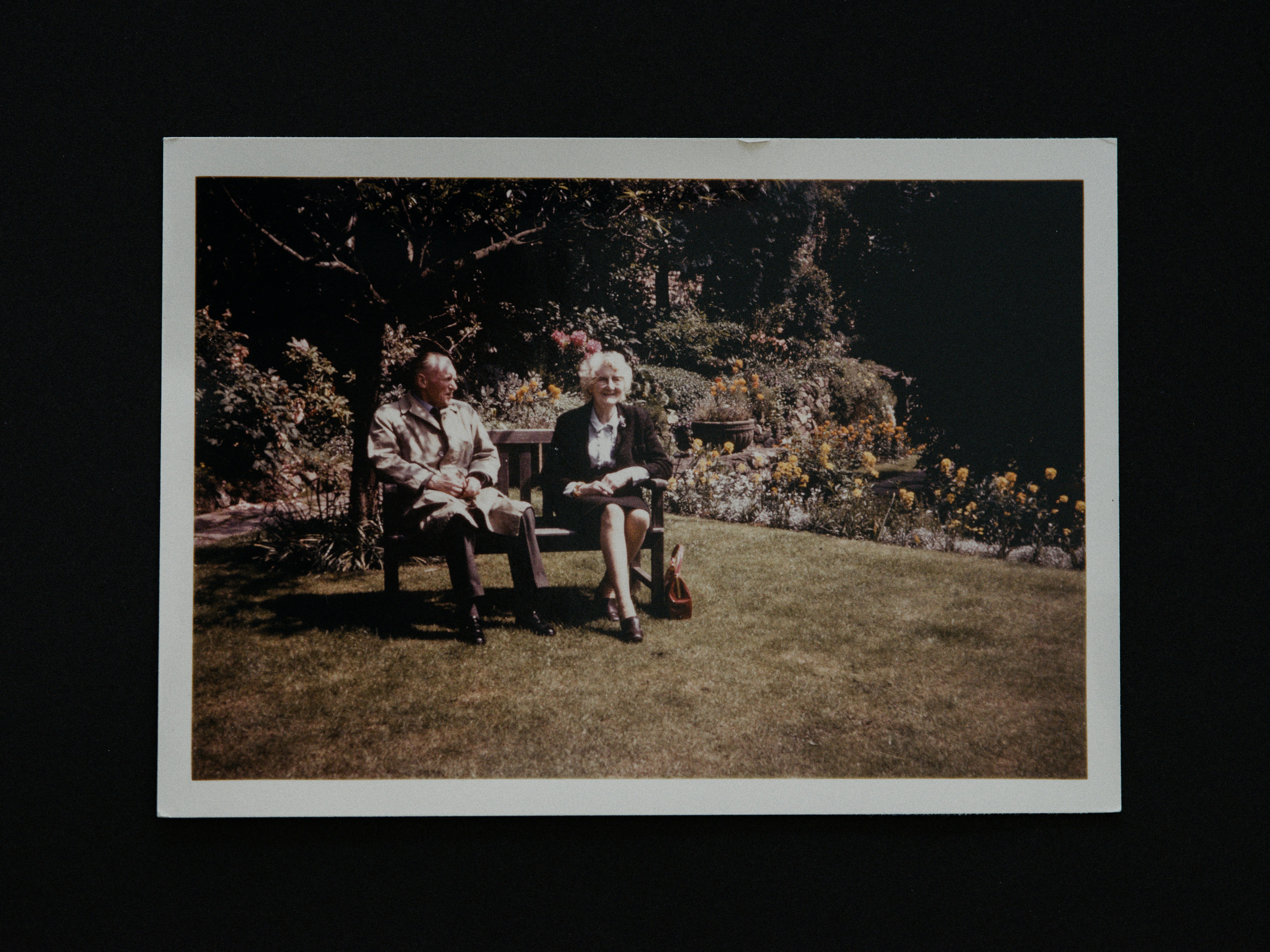 Elderly couple reviewing documents together